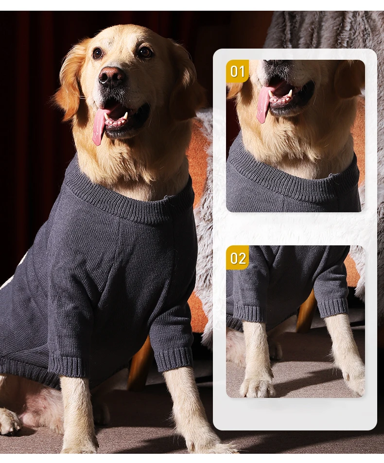 Blusas p cães