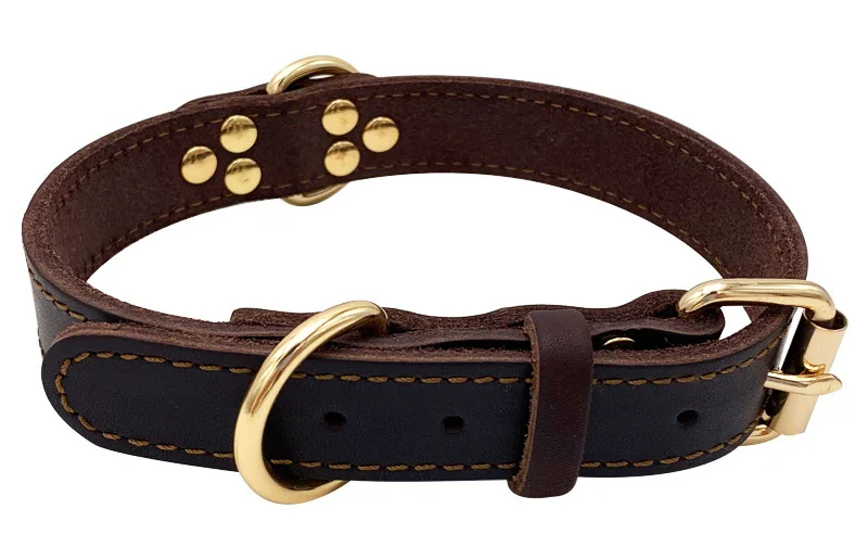dog collar leather-