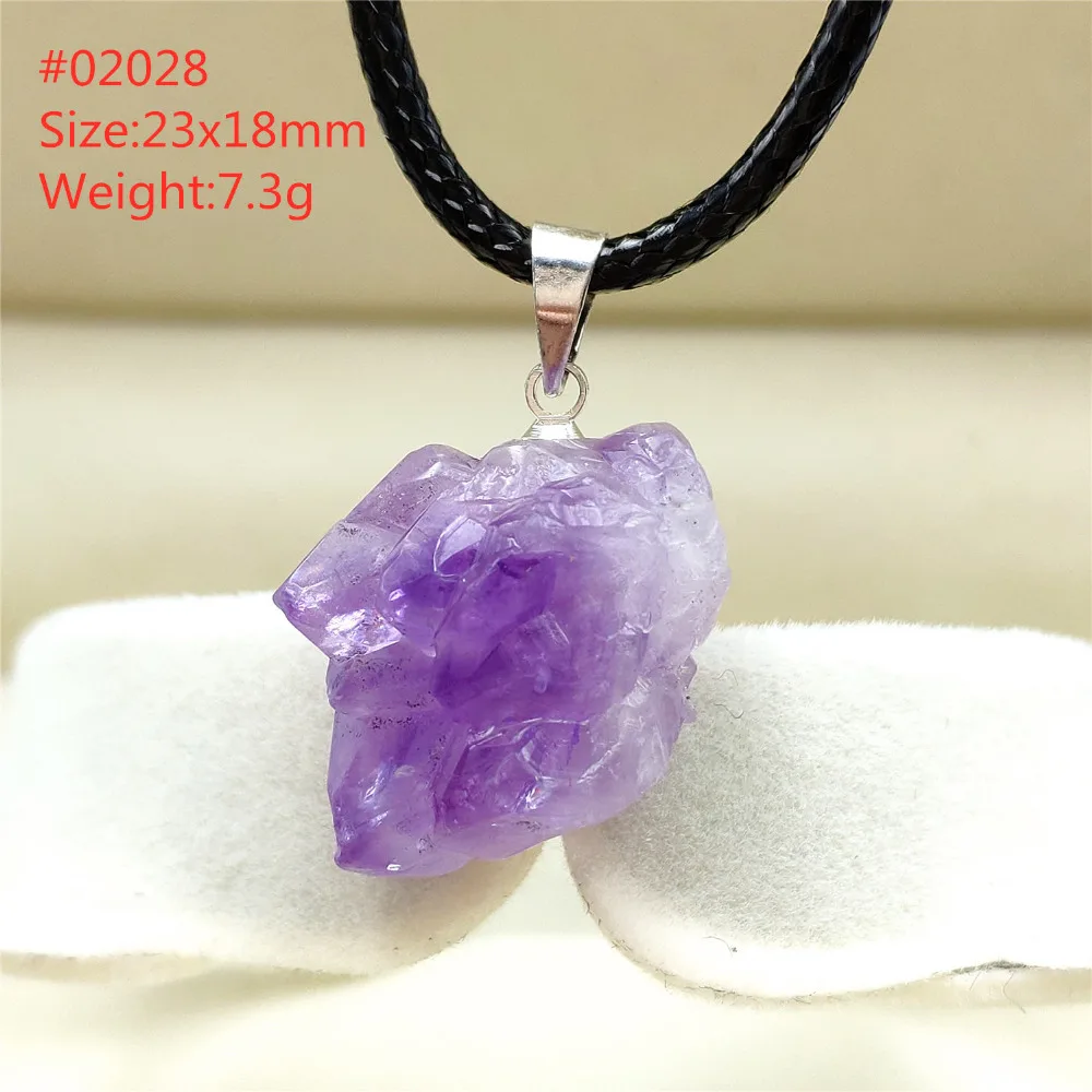 ASC02028 (2)