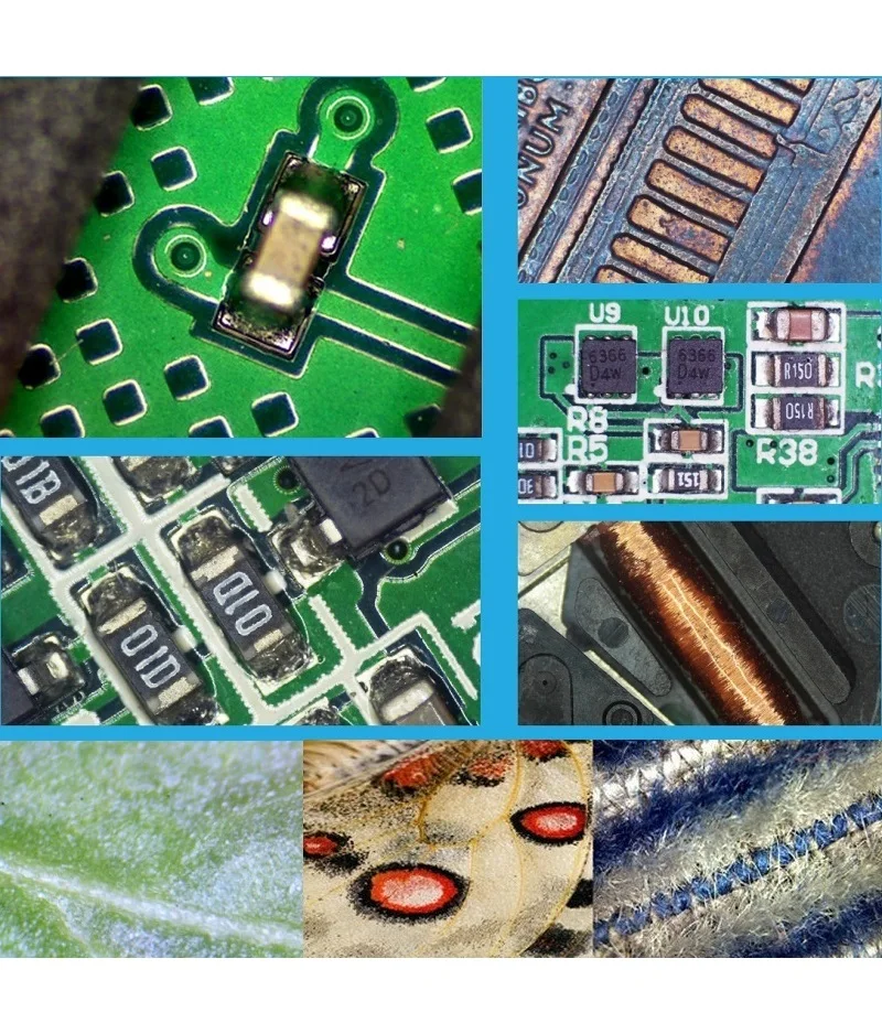 TXS-20(12