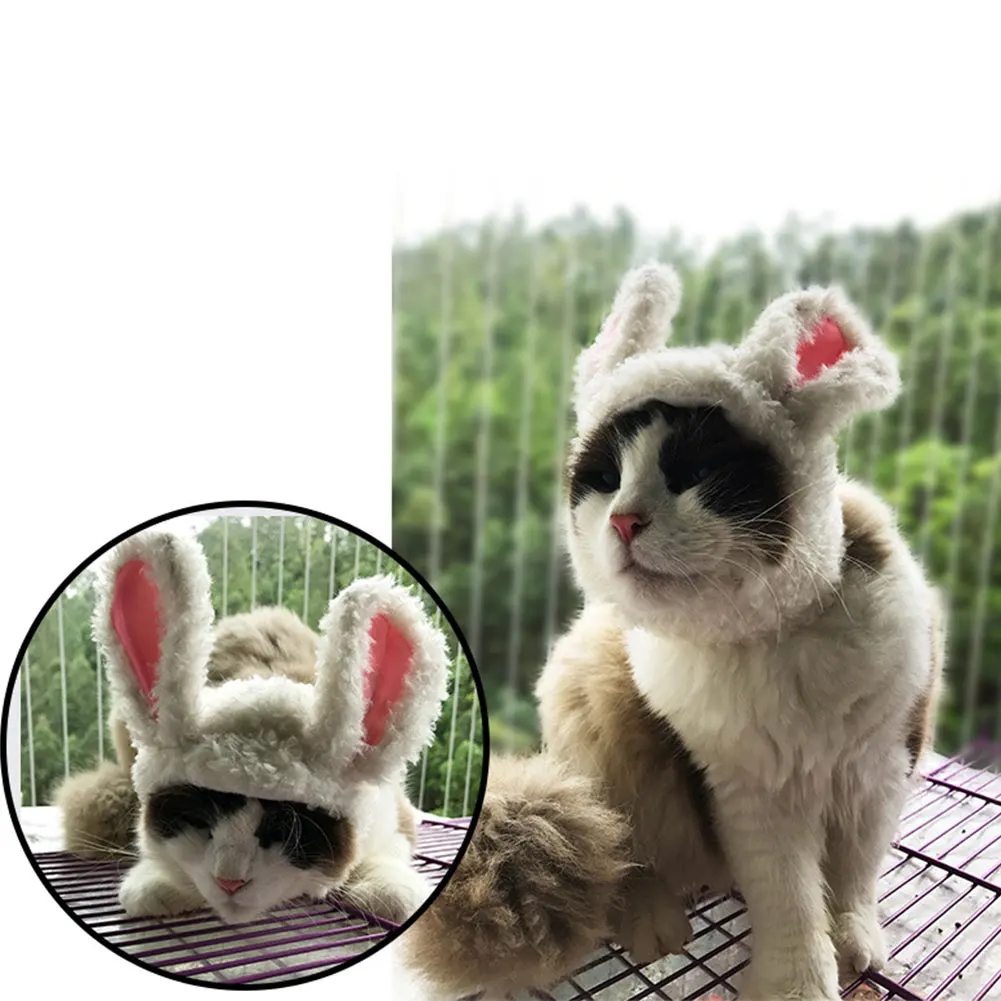 Украшение игрушки игрушка Шляпа кошка косплей парик домашнее животное голова Крышка 18*17 см красочные Моделирование волос осень зима щенок одеваются