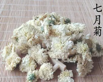 

chrysanthemum organic