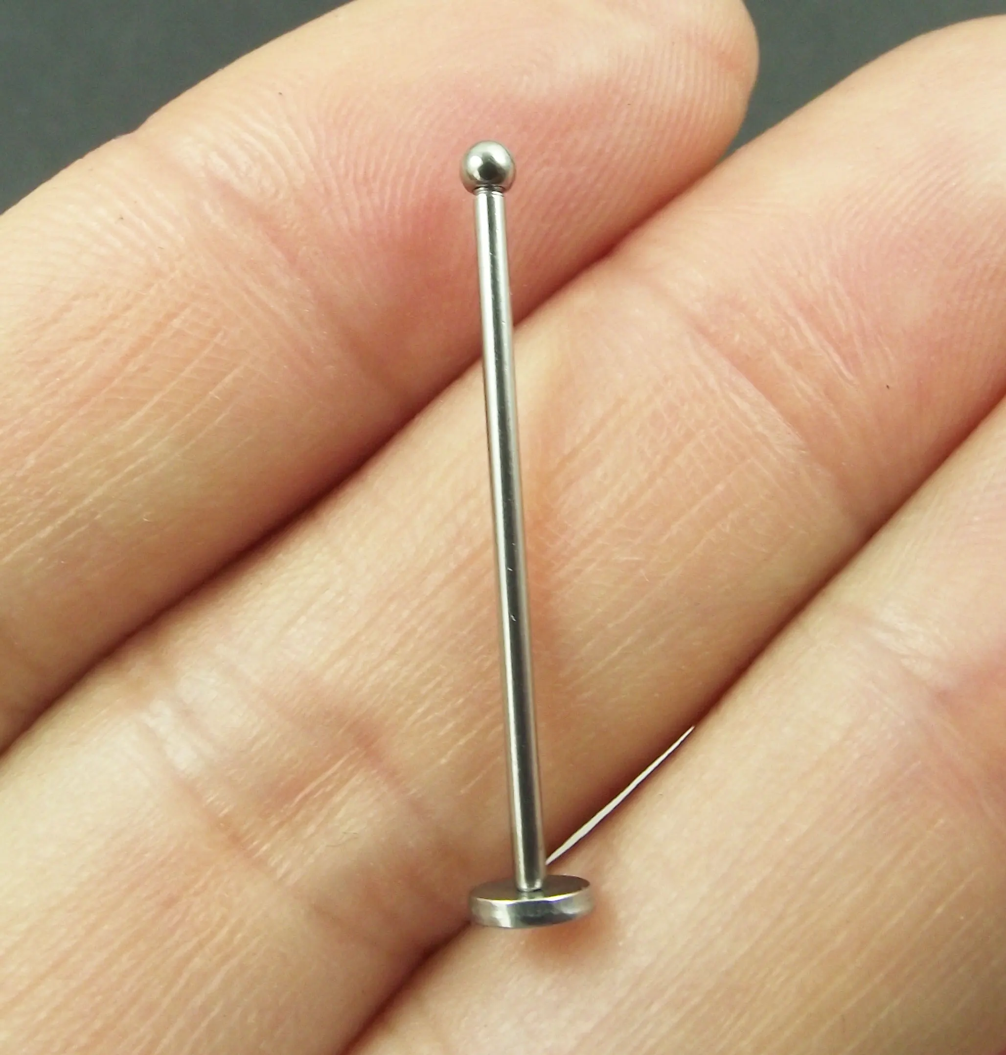 Paku Tekan in English