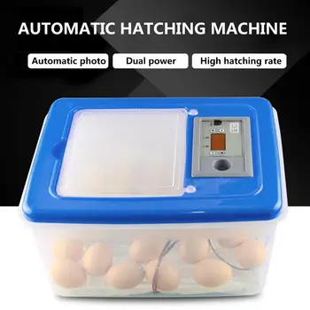 

Automatic Egg Incubator Automatic Temperature Control Highly Transparent Egg Breeding Device for Home Use