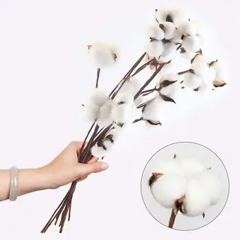 

1PC Naturally Dried Cotton Flowers Artificial Plants Floral Branch for Wedding Party Decoration Fake Flowers