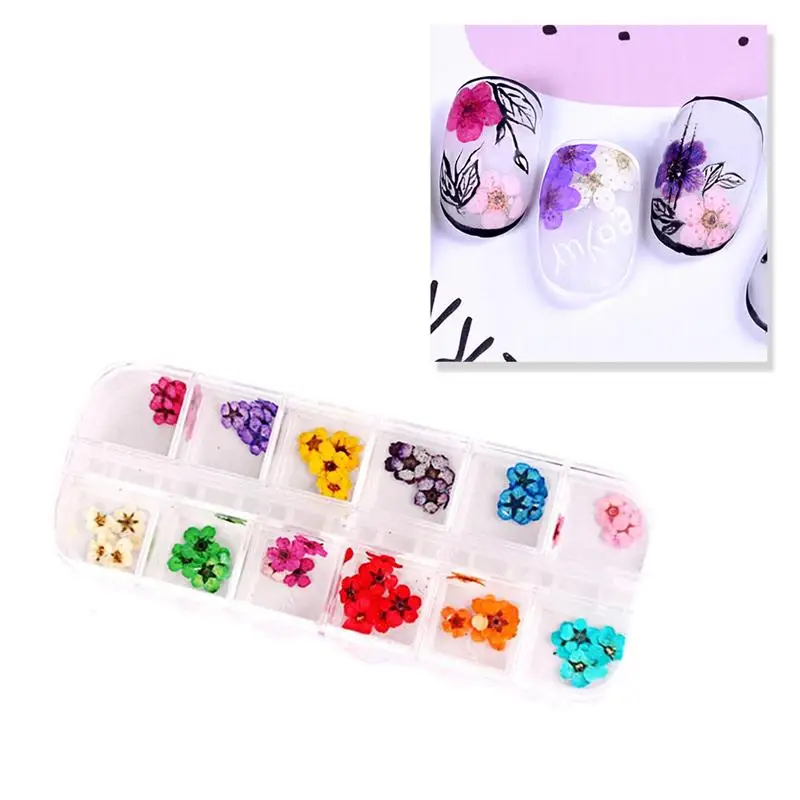 

12pcs/set Nails Art Sticker Nail Wraps Sticker Dried Flower Fingernails Decals (Five Petaled Flowers, Random Color)