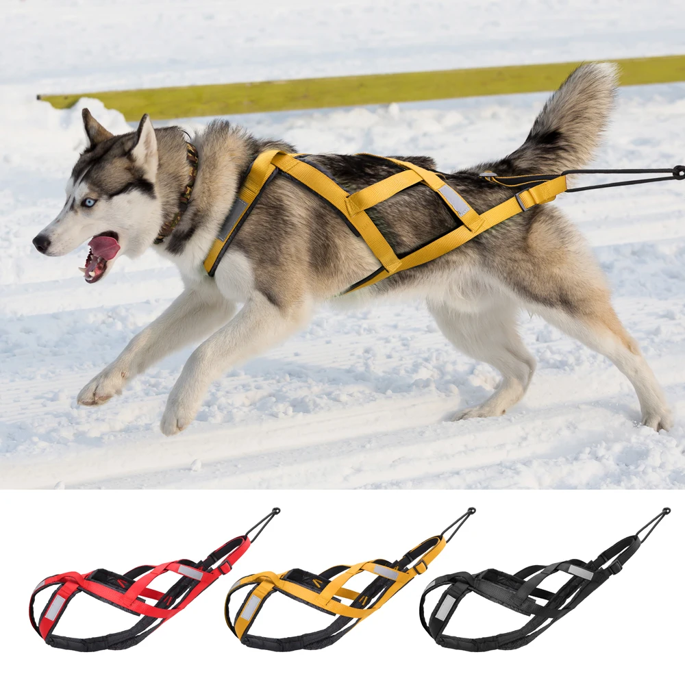 Skijoring X-Back Weight Pulling Dog Harness for Bike Sleigh in blue Scooter 