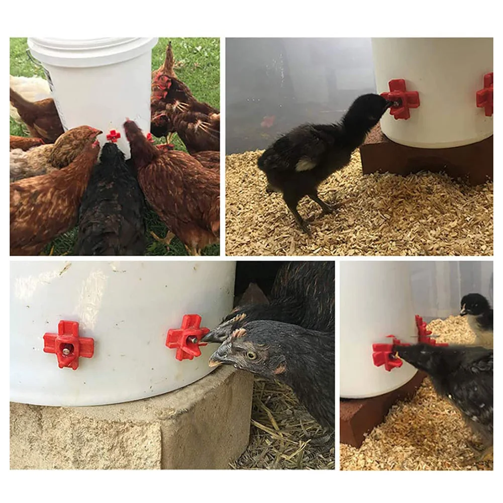 12 pcs Chicken Waterer Hens Quail Birds Drinking Bowls Water for Chicken Coop Chick Nipple Drinkers Poultry Farm Animal Supplies