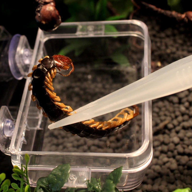 Reptile Feeding Tongs Reptile Tweezers Noctilucence Clip Feeding Tongs Live Food Feeding Clamp Litter Terrarium Cleaning and