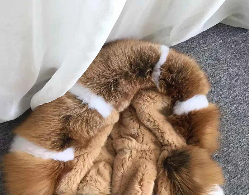 微信图片_20190830161751