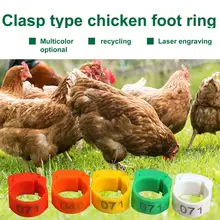 

Wear-resistant 100Pcs Unbreakable Duck Chicken Foot Ring Smooth Surface Duck Leg Bands Flexible for Animal
