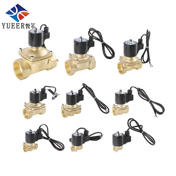 

Brass Waterproof Valve Solenoid Underwater for Fountain 12V DC Normally Closed High Temperature Female Thread Valves