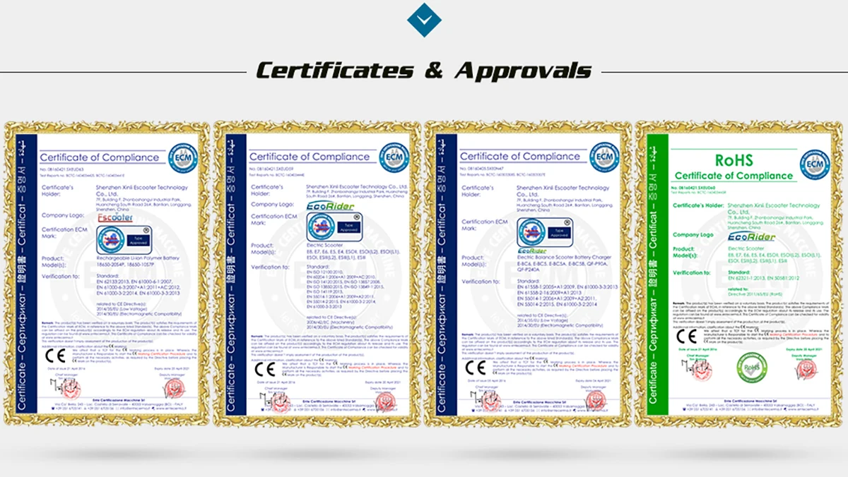 Flash Deal E6-7 High Quality and Cheap Electric Motorcycle EcoRider 250W 48V Bike for Youth School Supplies 26 Flash Deal E6-7 High Quality and Cheap Electric Motorcycle EcoRider 250W 48V Bike for Youth School Supplies 26