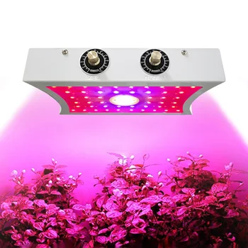 

LED Grow Light Plant Grow Lamp for Indoor Plants Seedling Blooming Fruiting 1000W/ 1200W J99Store