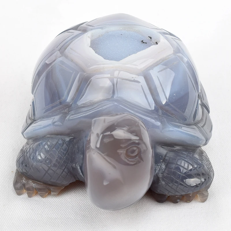 

6.2'' Turtle Skull Sculpture Decoration From Natural Fluorite Stone Healing Realistic Crystal Tortoise Home Decor Art Collection