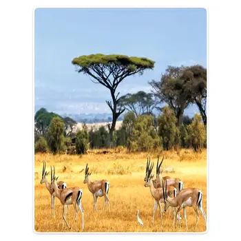 

HommomH 60 X80inch Blanket Comfortable Warm Soft Plush Sofa Portable Fawn Herd