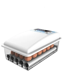 

Warm Cubic Intelligent Eggs Incubator China Automatic Water Bed Chicken Thermostat for Incubadora 36-196