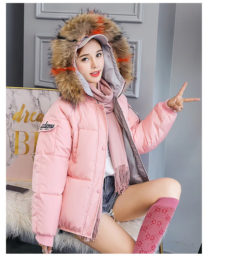 9093523287_1285180299