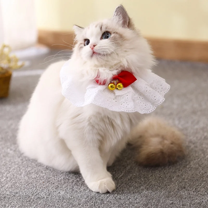 Новое поступление ошейник для кошек Регулируемый воротник для котенка кружевной воротник для котенка с колокольчиком товары для домашних животных товары для кошек украшение для шеи для домашних животных
