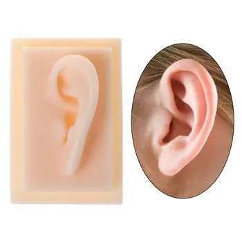 

Human Soft Silicone Left Ear Model Life Size Acupuncture Study Practice Tool Teaching Resources For Medical Science