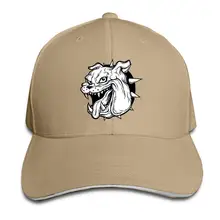 USMC Devil Dog Регулируемая Кепка бейсболка сэндвич Кепка