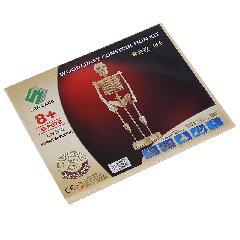 The Human Skeleton Model Wood Craft Construction Kit by 3D Puzzle with