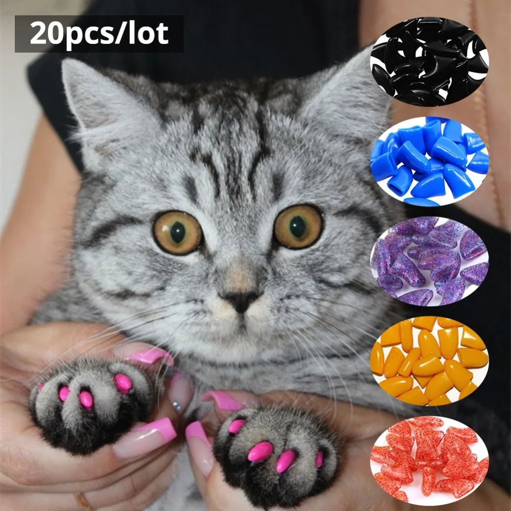 Cat 2025 silicone nails