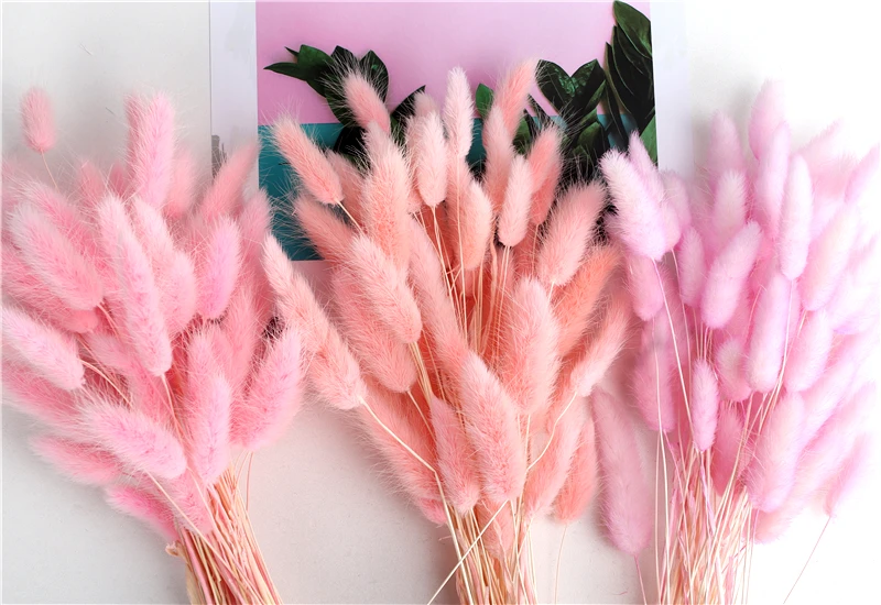 O1CN01i3wwoF28tvYHUn4lL_!!3019657991