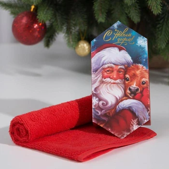 

Terry Towel "Grandfather Frost" 30x30 cm, 100 XL 340g/m2 5147977