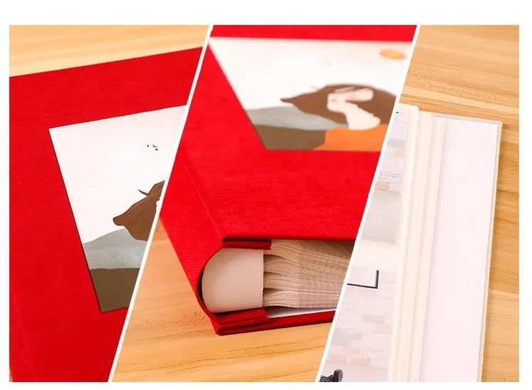 11093547529_763907063