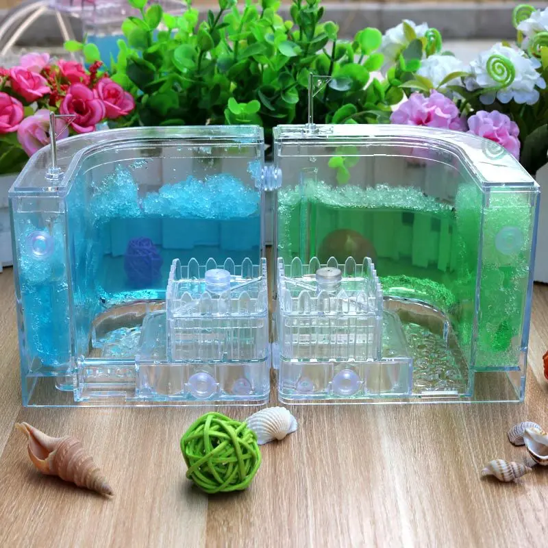 

Strange New Toy Ranch Estate Villa Ecology Workshop Toy Gift Ranch Home Ant Queen Ant Nest