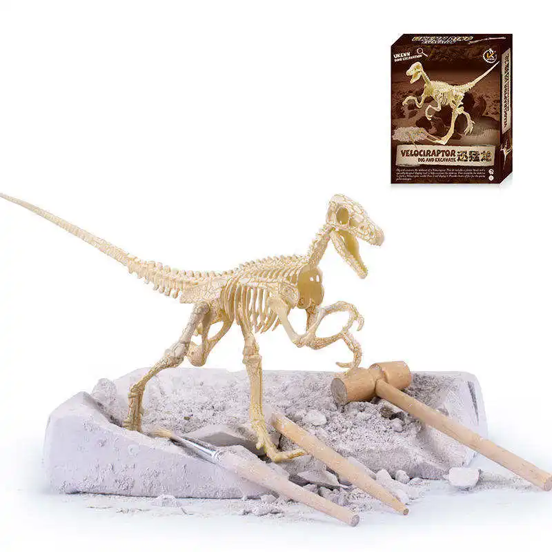 6 type Jurassic Dinosaur Velociraptor Fossil excavation kits Education archeology Exquisite Toy Set Education Child Gift - Цвет: 25CM
