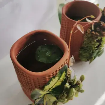 

Self-watering Planter Ceramic Flowerpots Seedling POTS with ceramic vases