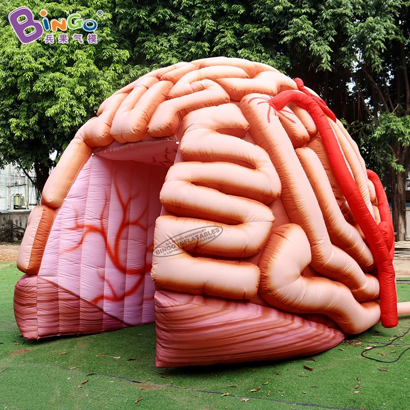 Customized 5.1x4.5x3.6 Meters Inflatable Brain Tunnel Tent For Education / Blow Up Inflated Brain Balloon - BG-H0040 3