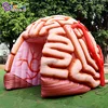 Customized 5.1x4.5x3.6 Meters Inflatable Brain Tunnel Tent For Education / Blow Up Inflated Brain Balloon - BG-H0040 3