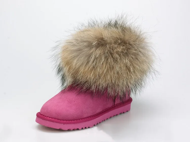 8793680246_1481468647