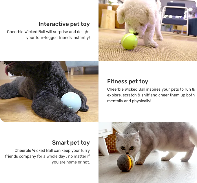 2019 новейший USB собака для прыжков кошек активация мяч светодиодный свет Мигающий Прыгающий мячик игрушка для собак 3 цвета опционально