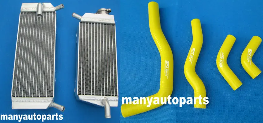 IMG_1651_副本FGF2_副本