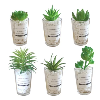 

6 PCs Succulent Potted Simulative Plastic Simulated Creative Glass Potted Ornaments Plant Bonsai for Home School Office