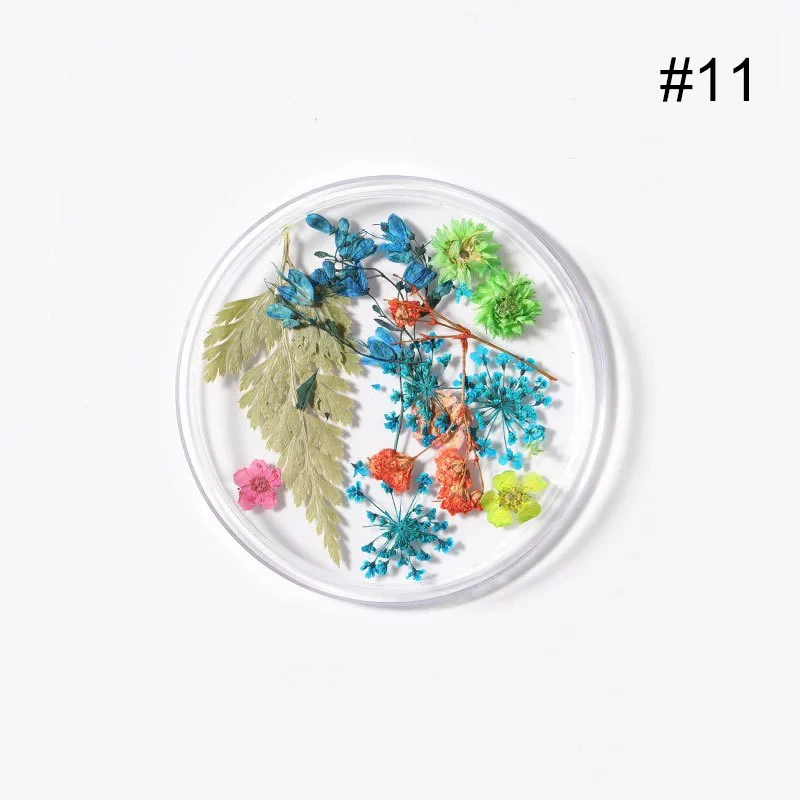 1 шт многоцветные микс сушеных цветов для ногтей серия естественная Флора Лаванда Мандала Рождество 3D дизайн ногтей Украшение DIY инструмент - Цвет: 47
