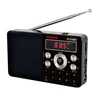 Portable Audio 