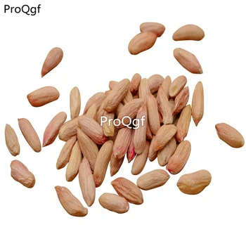 

Ngryise 100Pcs A Set many species peanut