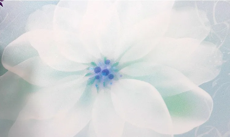 12_conew1