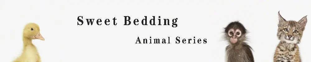 animal1