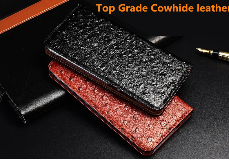 鸵鸟纹款_01_副本