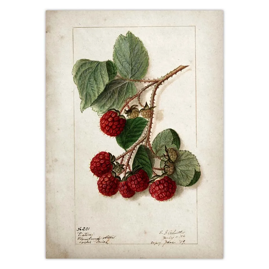 H5df195c49f2f4516be56f913a24682a81