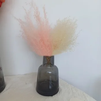 

5PCS Natural Dried Flowers Small Reed Plants DIY Party Home Flower Arrangement Art Decoration