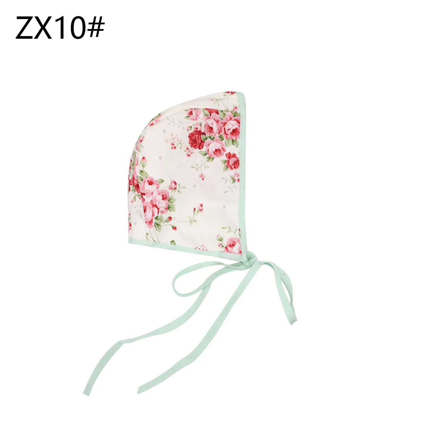 ZX10.jpg