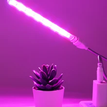 Lámpara LED de cultivo para plantas suculentas, 24LEDs, USB, espectro completo, DC5V