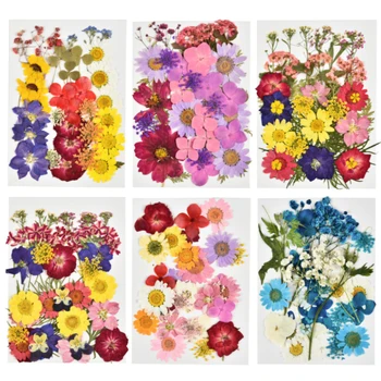 

Small DIY Dried Flowers Resin Mold Fillings UV Expoxy Flower for Nail Art Pressed Flowers for Home Decor Handicraft Scrapbooking